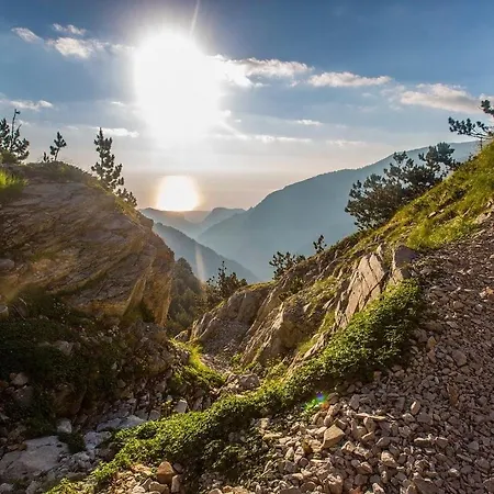 דירה Olympus Hill *