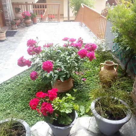 Olympus Hill * ליטוחורון