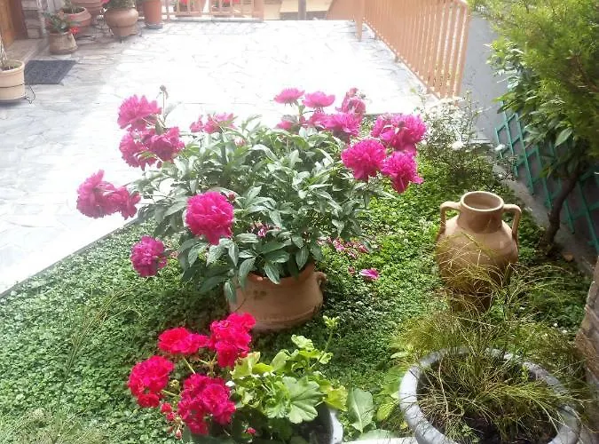 Olympus Hill * Litochoro